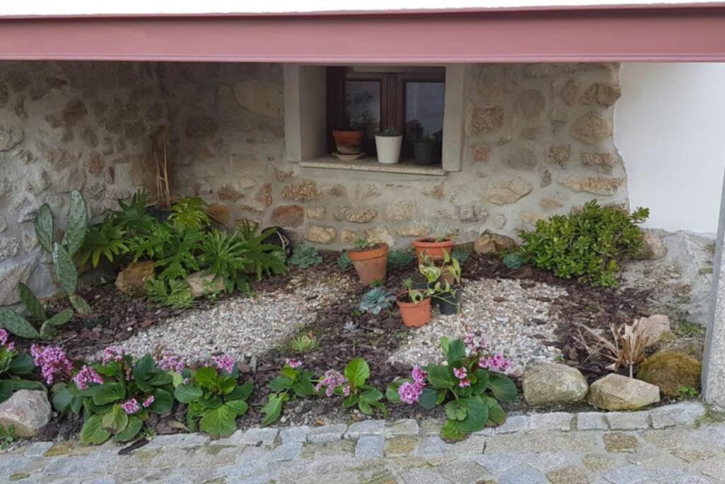Вілла Casa Bento Moura Portugal Moimenta da Serra Екстер'єр фото